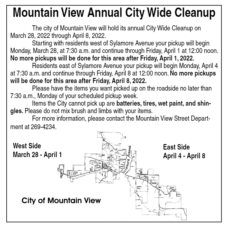 information-about-city-wide-clean-up
