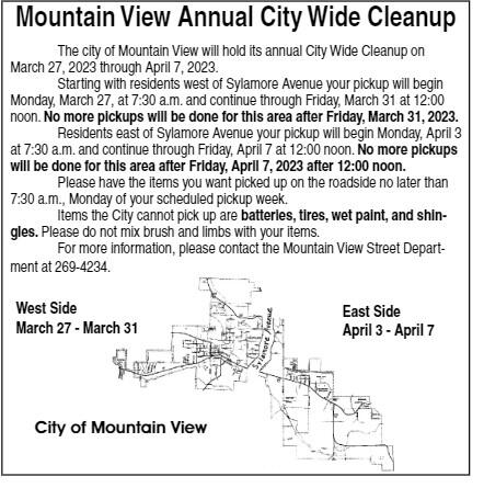 citywide cleanup photo