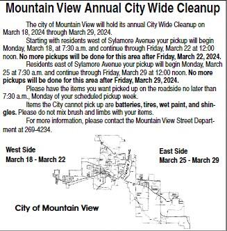 citywide clean up